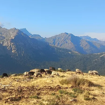 Homestay A Casa Di Francesca