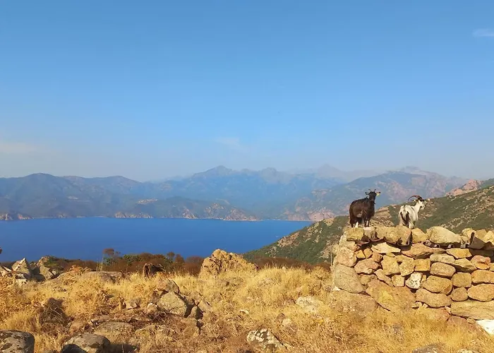 A Casa Di Francesca *