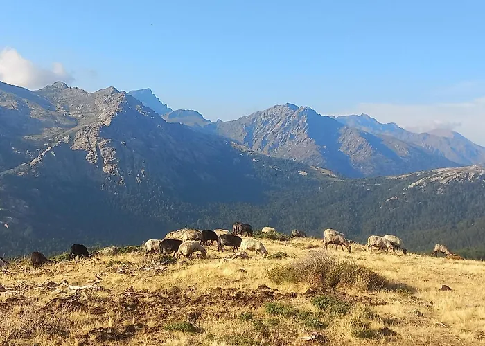 民宿 A Casa Di Francesca